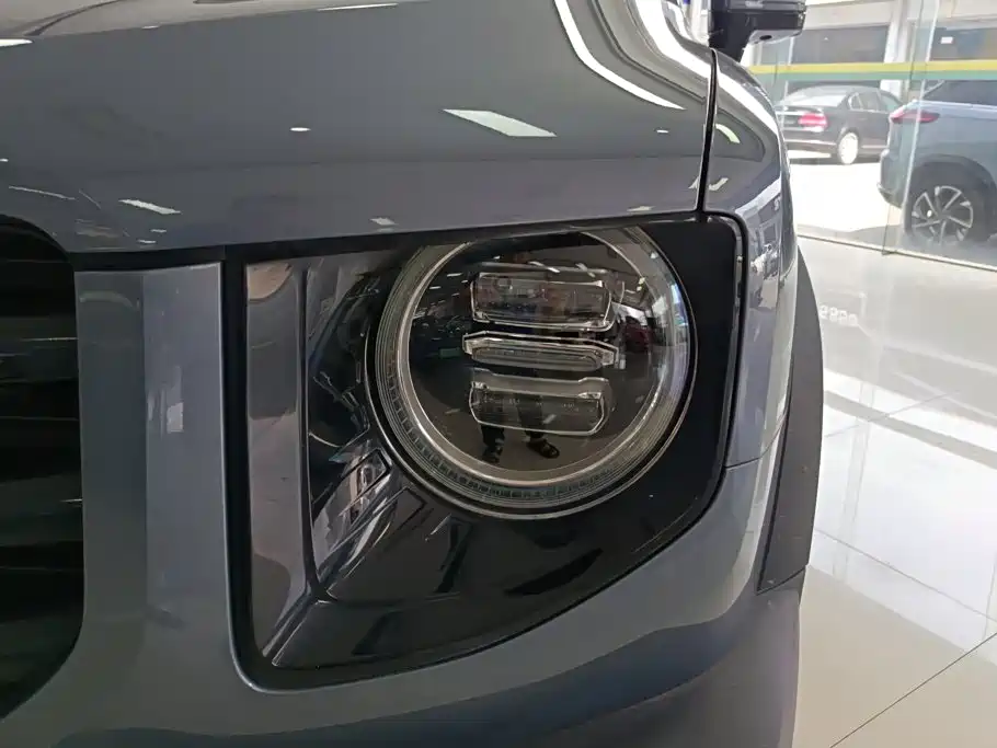 Haval Dargo 2021 2021 2.0T DCT 4WD Chinese Rural Dog Edition