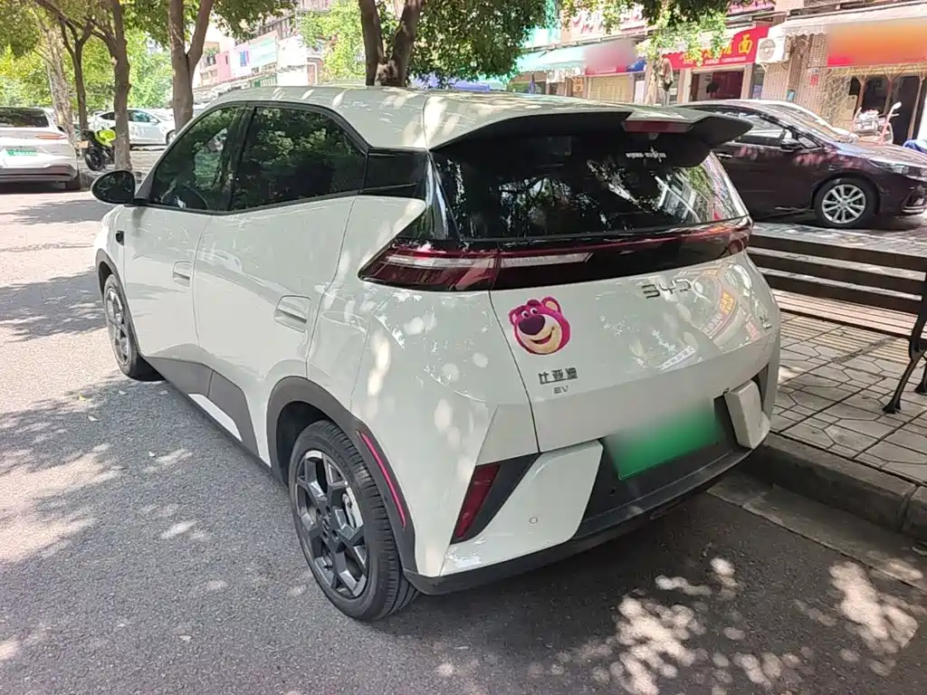 BYD Seagull 2026 2025 Smart Drive Edition 305km Freedom Version