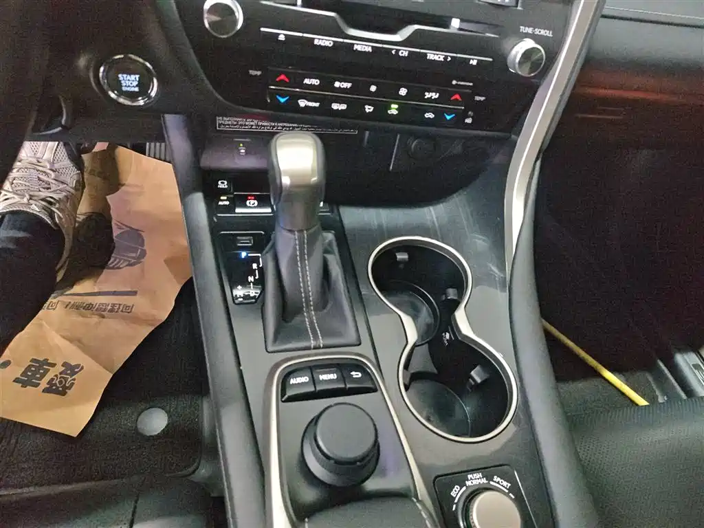 LEXUS RX