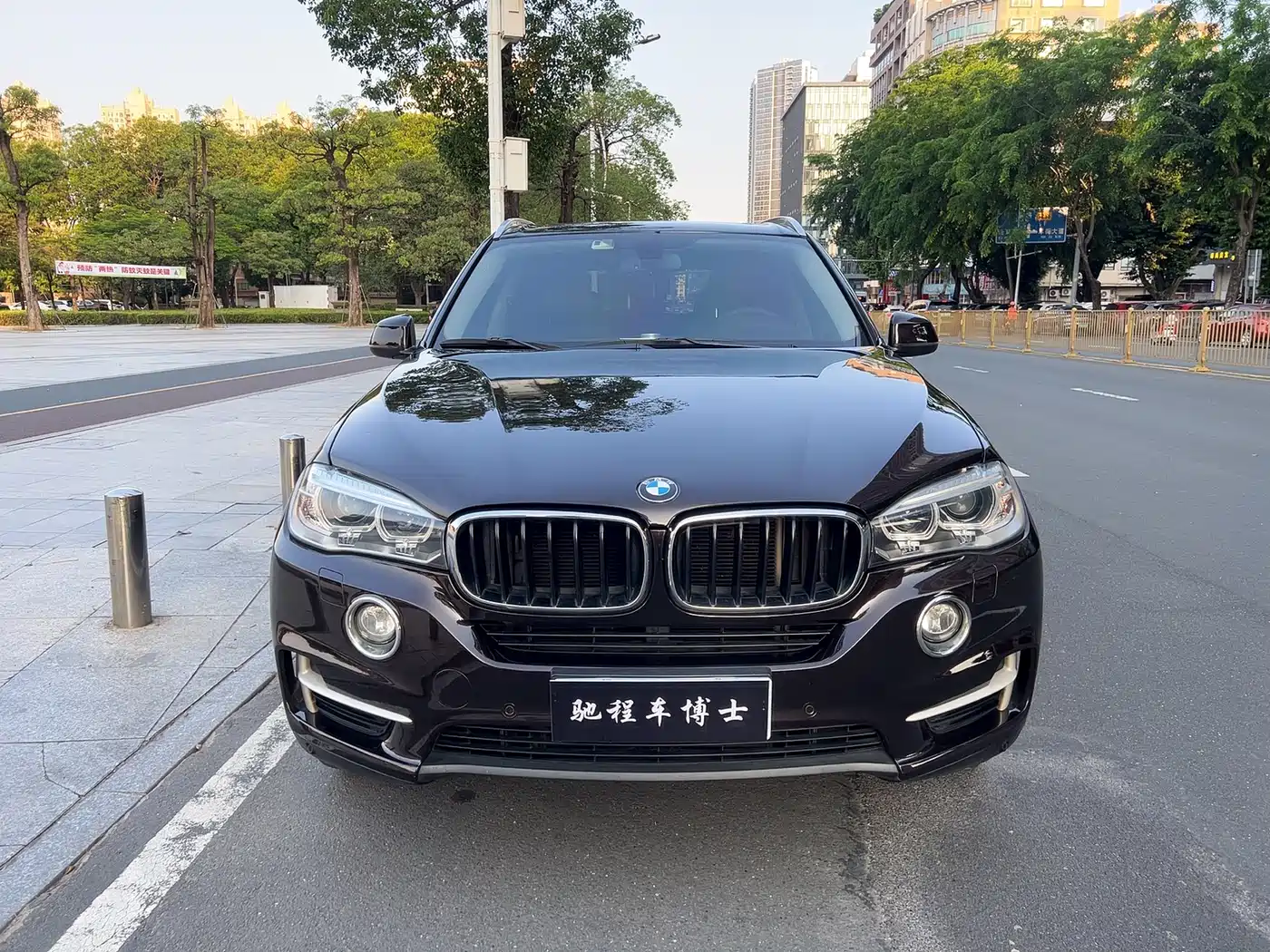 BMW X5 (Import) 2015 xDrive28i фото 2