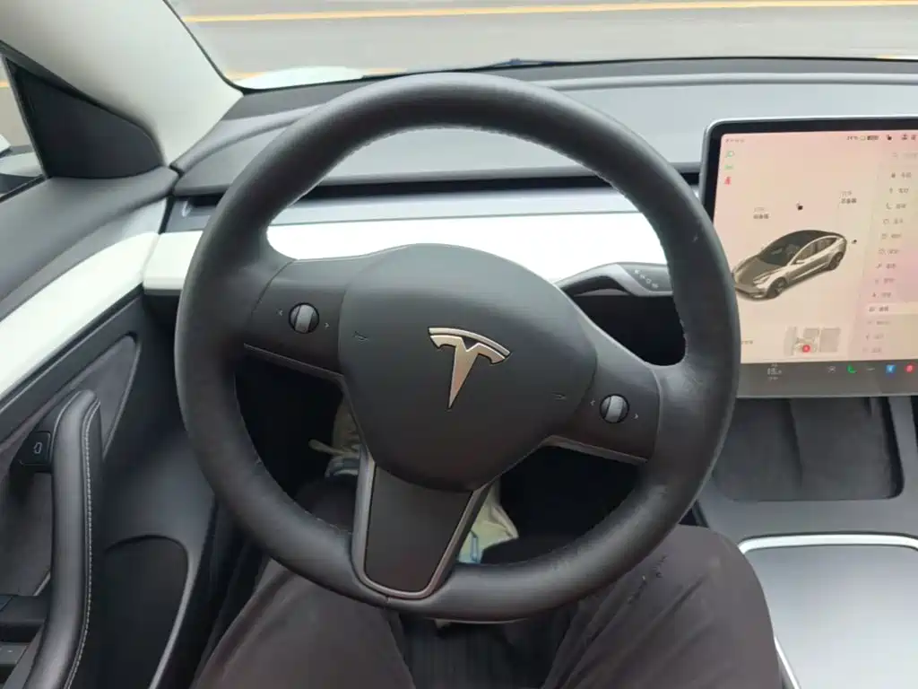 Фото 11 - Tesla Model 3