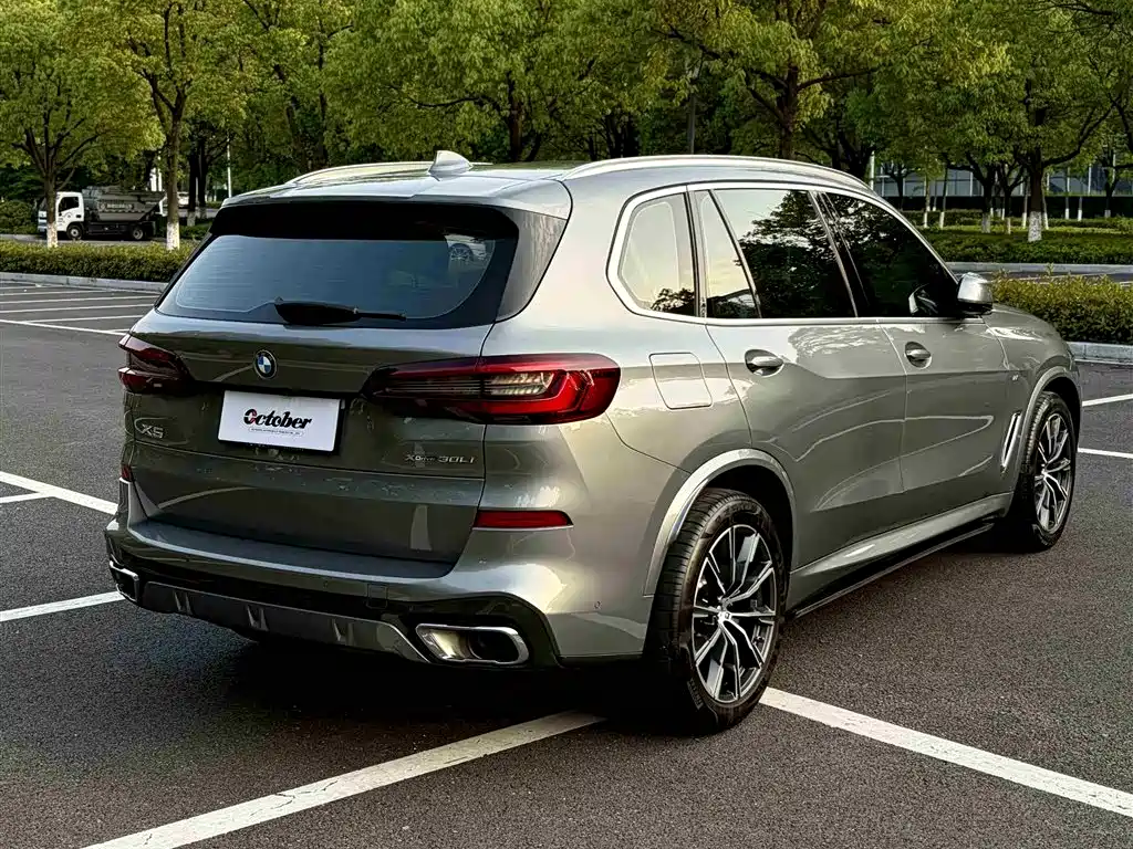 BMW X5 2022 xDrive 30Li Premium M Sport Package фото 7