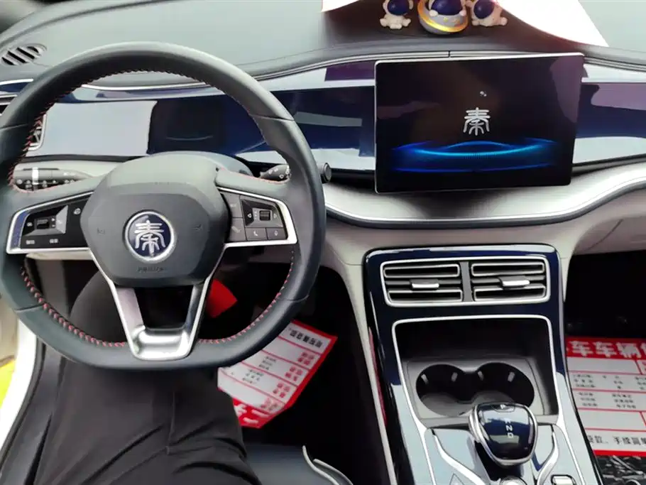 BYD Qin PLUS 2021 DM-i 55KM Flagship фото 12
