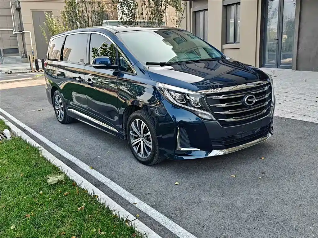 GAC Trumpchi Trumpchi M8 2020 Pilot 390T Prestige Edition фото 10