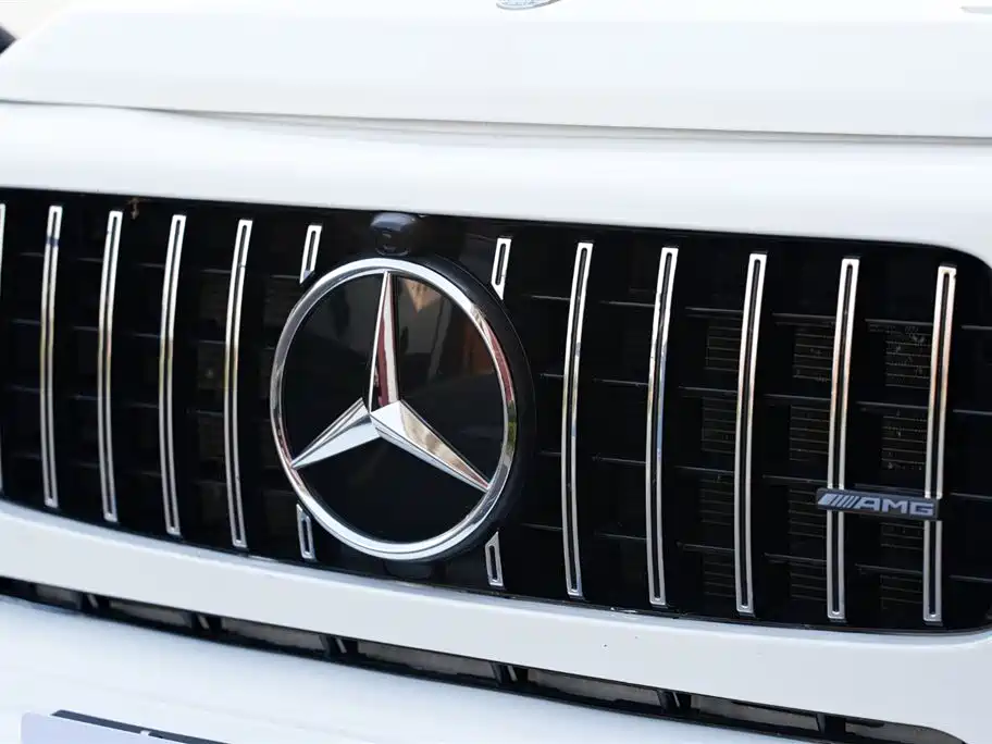 Mercedes-Benz G-Class 2019 G 500 фото 21