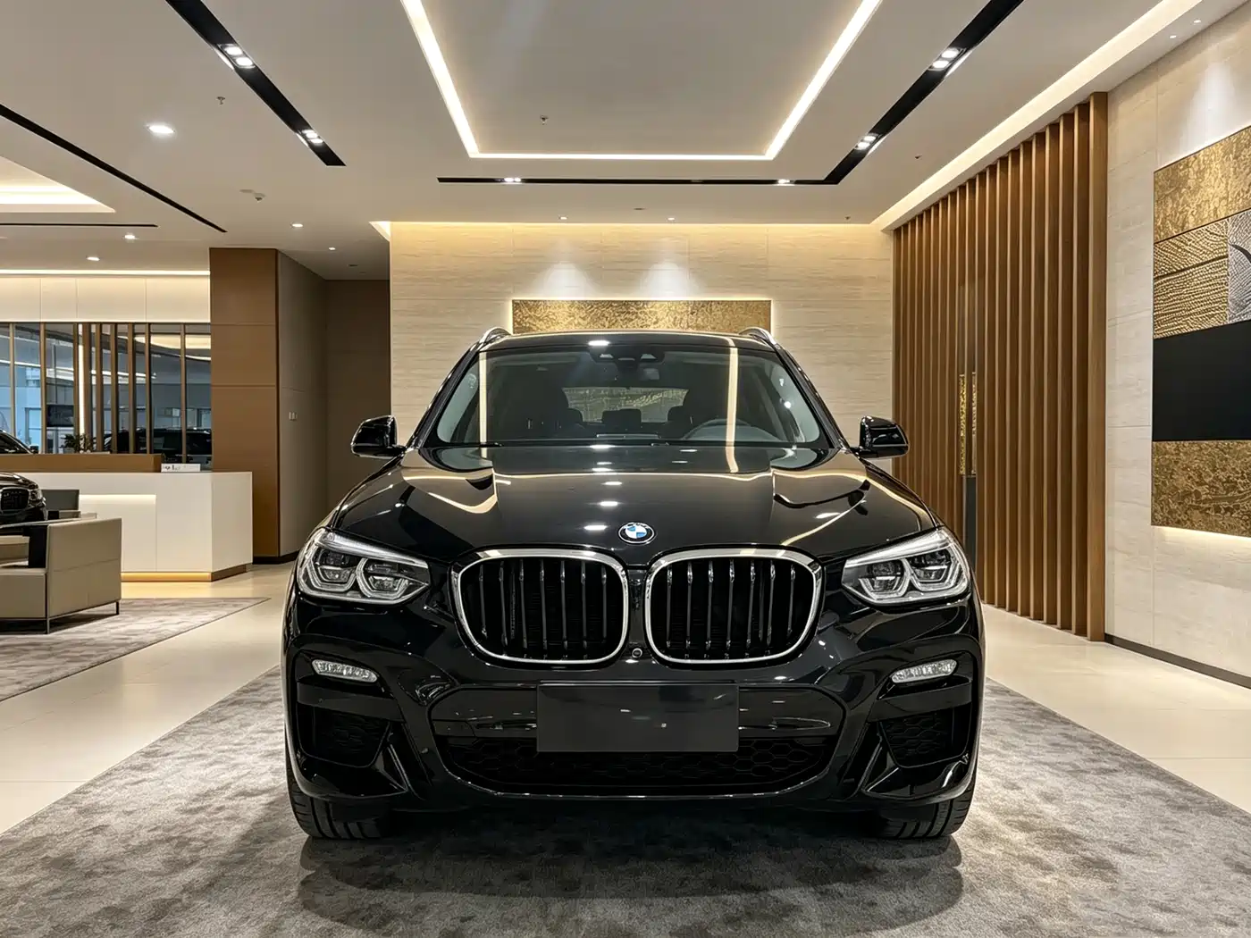 BMW X3 2018 xDrive28i M Sport Package China VI фото 2