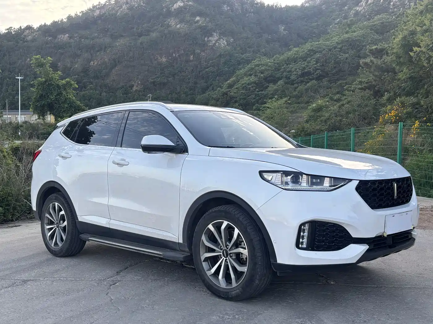 Фото 3 - WEY VV6