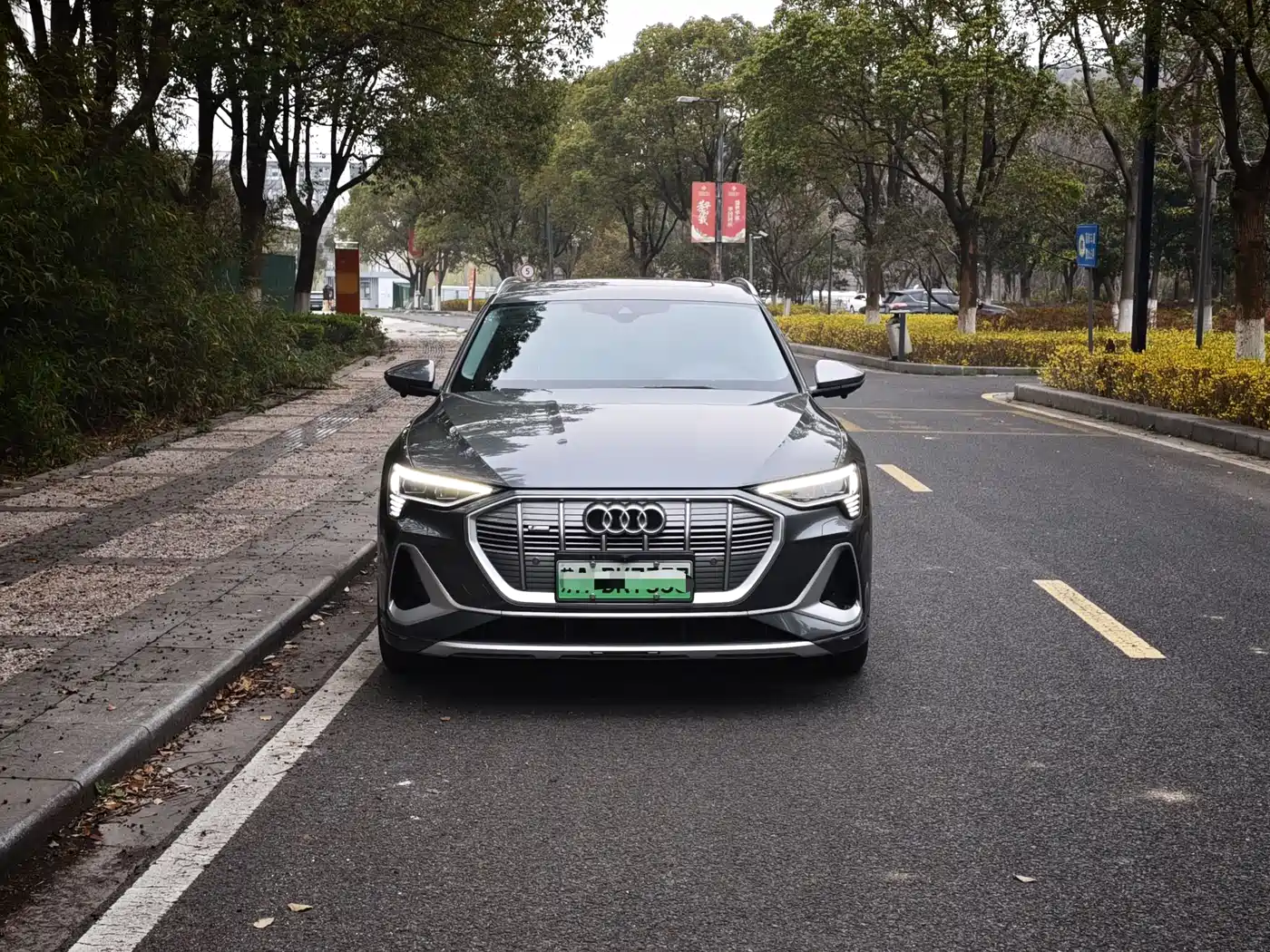 AUDI E TRON