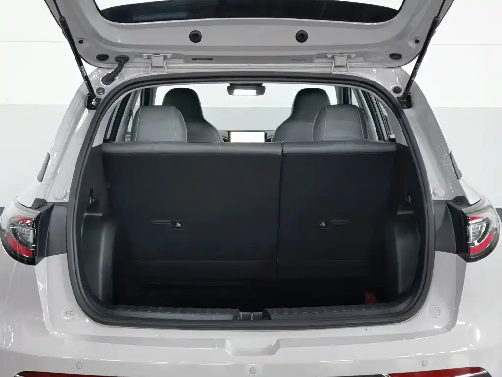 Geely Galaxy Starry Wish 2026 2026 Edition 310km Youth Version