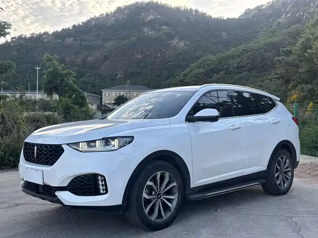 WEY VV6 2019