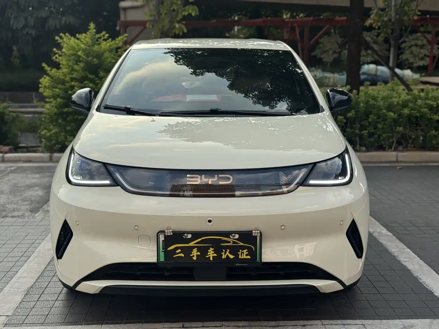 BYD Dolphin