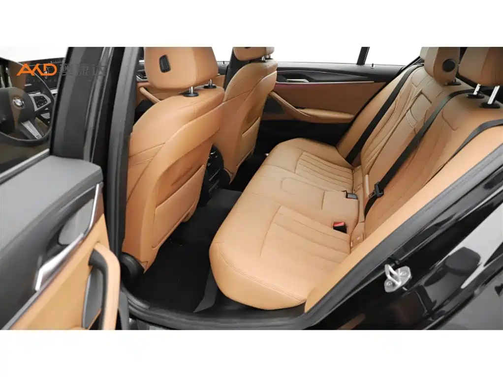 BMW 5 Series (Import) 2022 525i M Sport Package фото 7