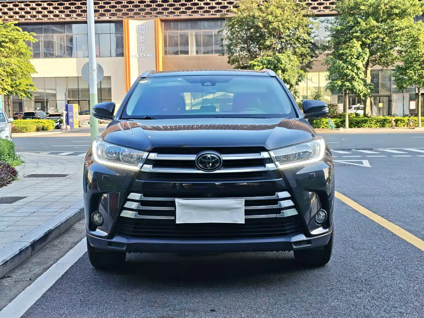 Toyota Highlander 2018 2.0T 4WD Ultimate 7-seater (China V) фото 2