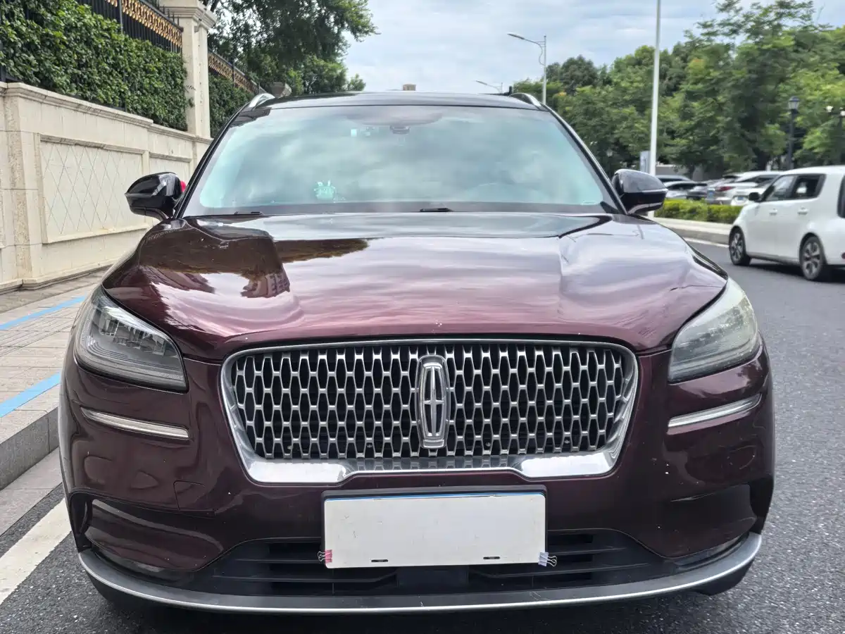 Фото 2 - Lincoln Adventurer