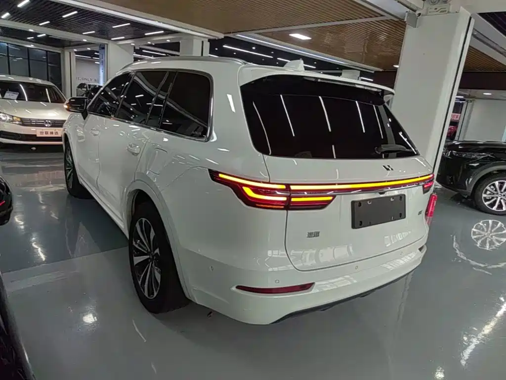 Фото 5 - Li Auto Li ONE