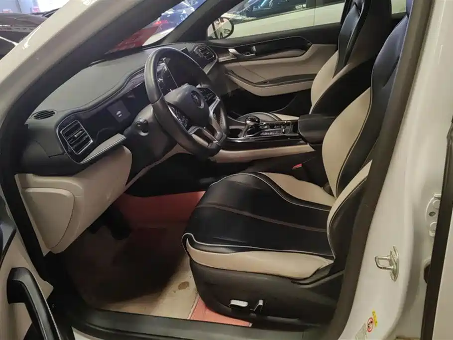 BYD Qin PLUS 2021 EV 400KM Luxury Model фото 9