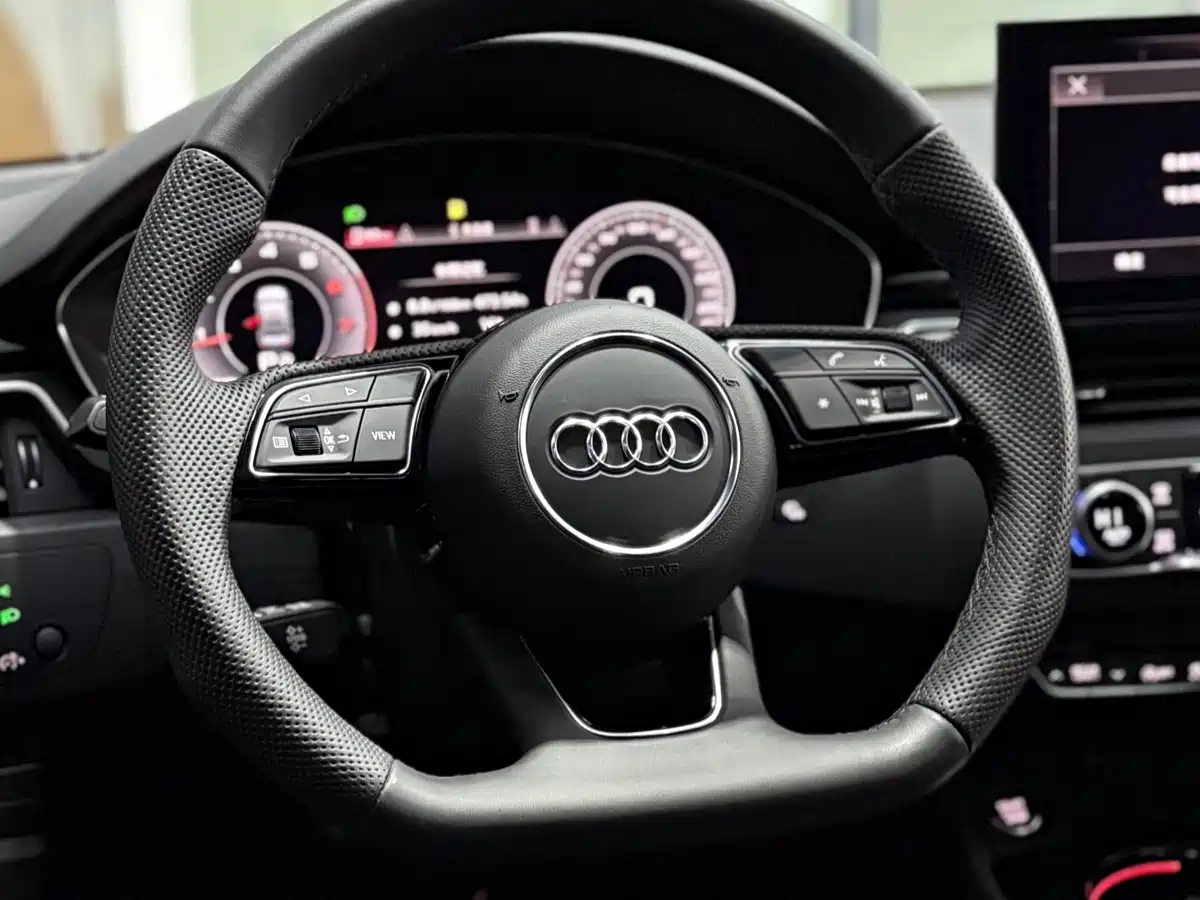 Audi A4L 2024 40 TFSI Luxury Dynamic (Starry Night Edition) фото 10