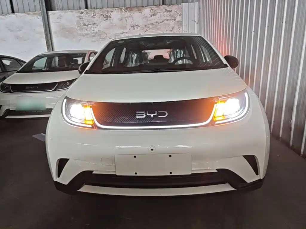 BYD Dolphin 2026 2025 420km Freedom Edition