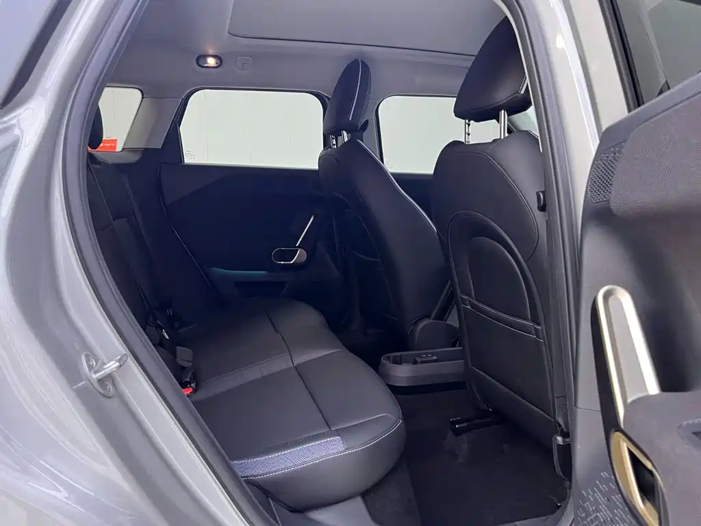 MINI Electric MINI ACEMAN 2025 2024 Model SE Artist