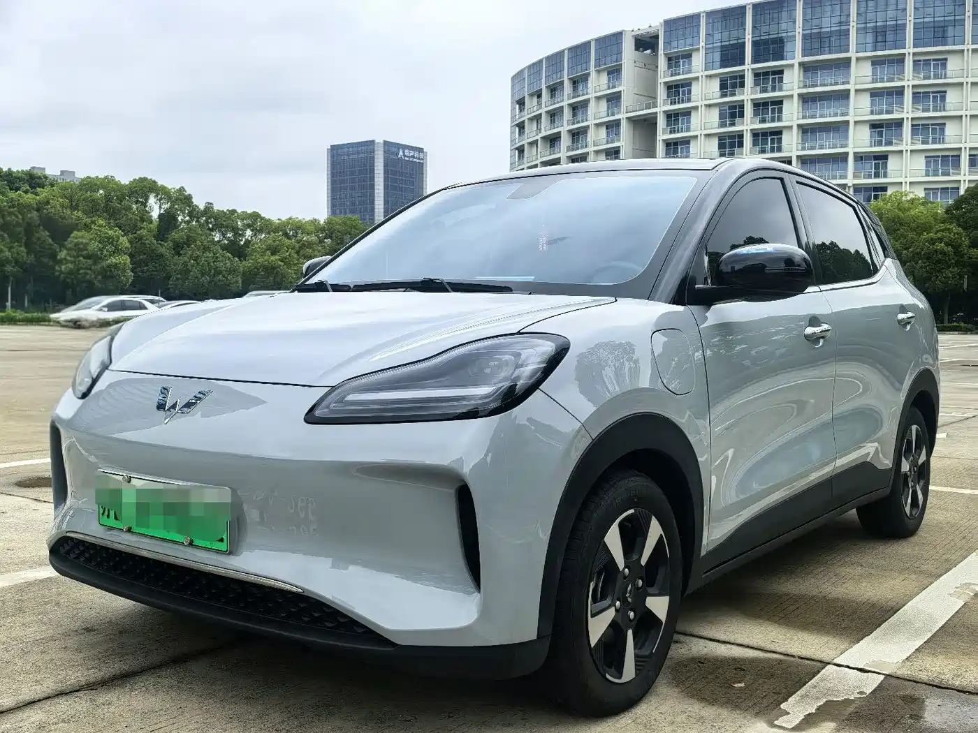 Wuling Motors Wuling Binguo PLUS 2024 2024 Model 330km 5-Seater