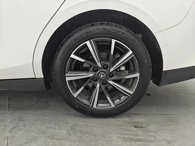 Changan Yida 2023 2023 Blue Whale NE 1.5T GDI DCT Pilot