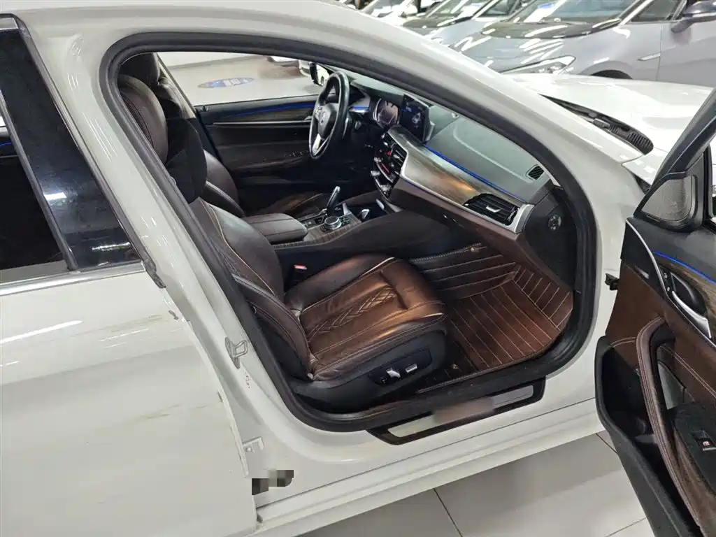 BMW 5 Series 2018 530Li xDrive Luxury Package фото 11