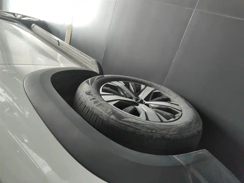 Haval Big Dog 2021 1.5T DCT 2WD Labrador Edition фото 23