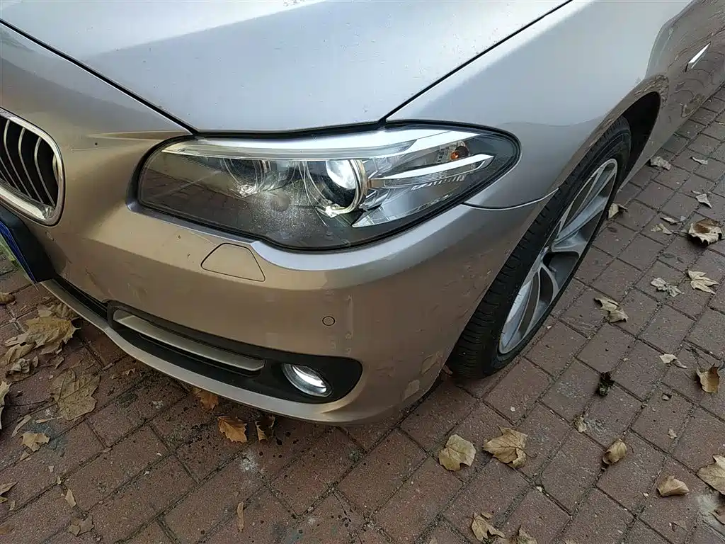 BMW 5 Series 2017 528Li Leading Edition фото 24