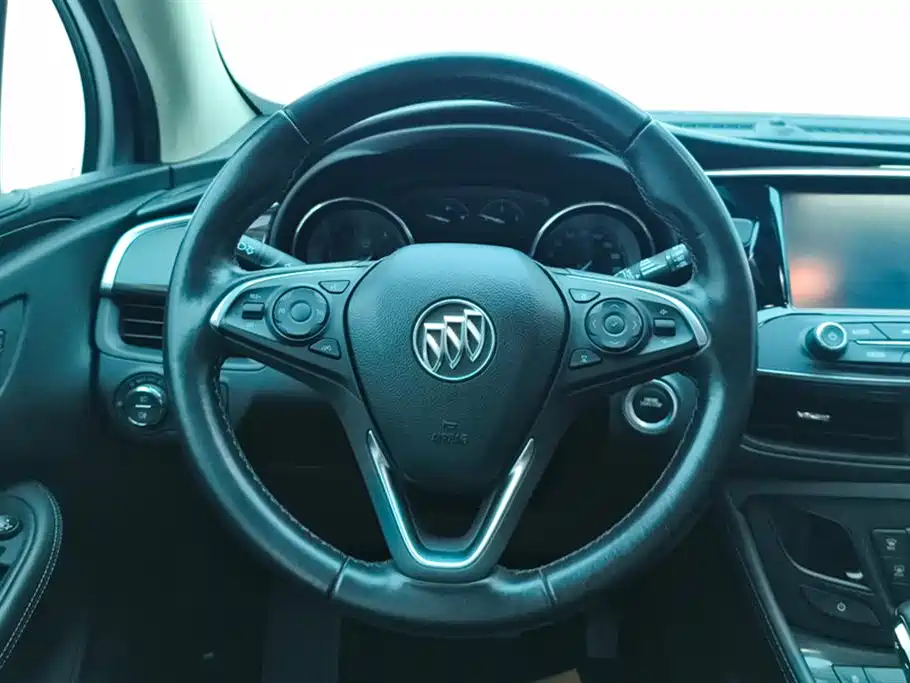 Buick Envision Plus 2018 20T 2WD Elite фото 15