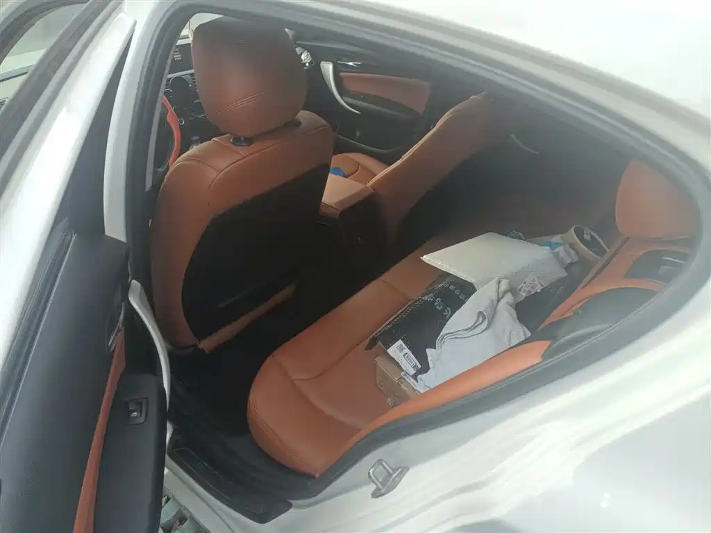 BMW 1 Series (Import) 2013 Facelift 116i Leading Model фото 15