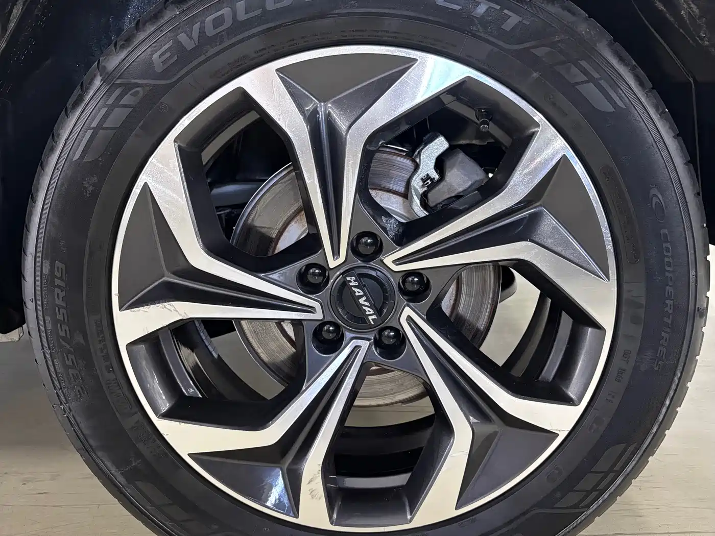 Haval Shenshou 2022 2022 2.0T Smart Premium Edition