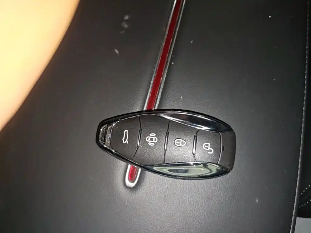 Photo 9 - Hongqi HS3 PHEV