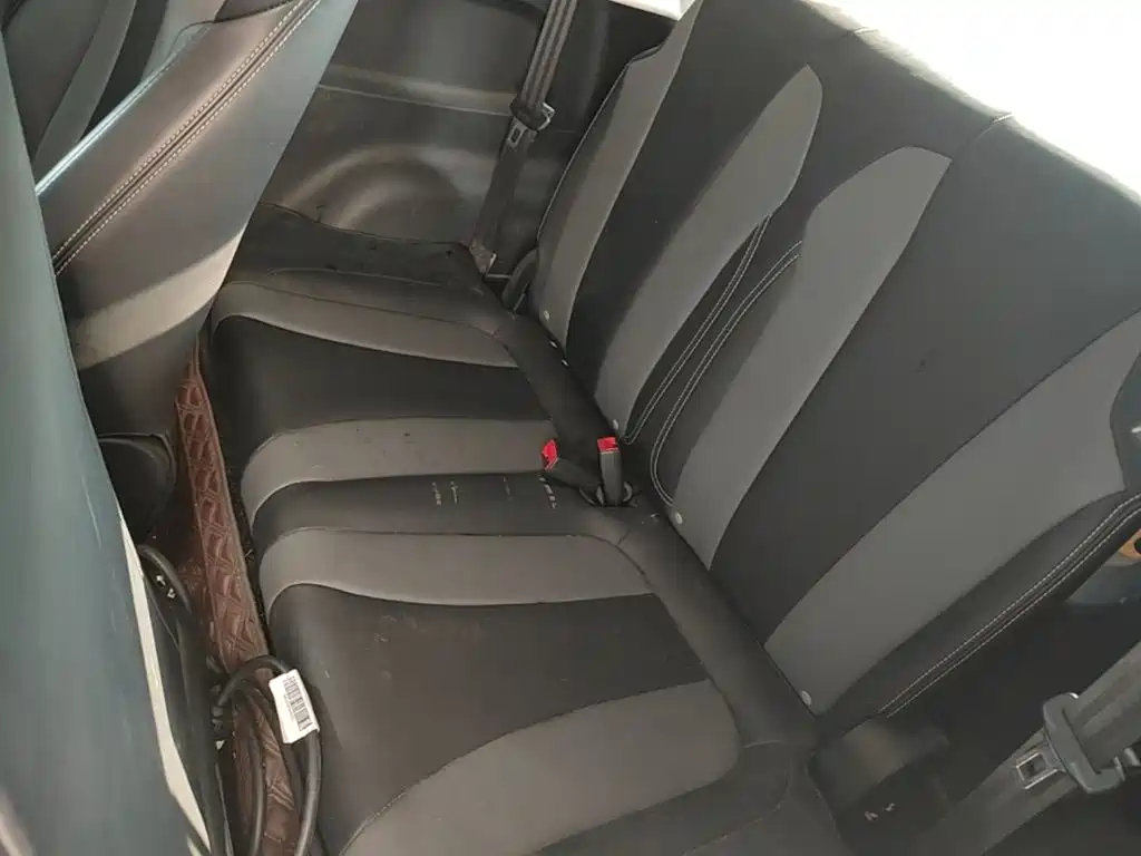 Roewe Kaiwei CLEVER 2024 2022 311km Vitality Bobo Edition