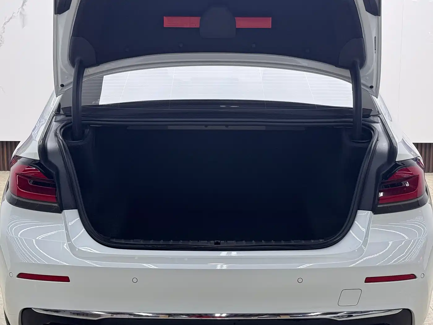 BMW 5 Series 2022 530Li Leading Luxury Package фото 22