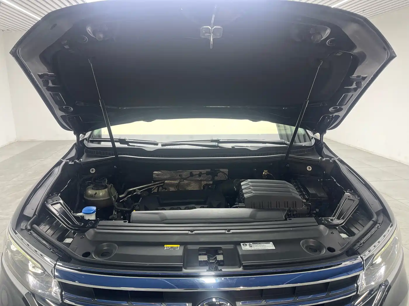 Фото 9 - Volkswagen Viloran