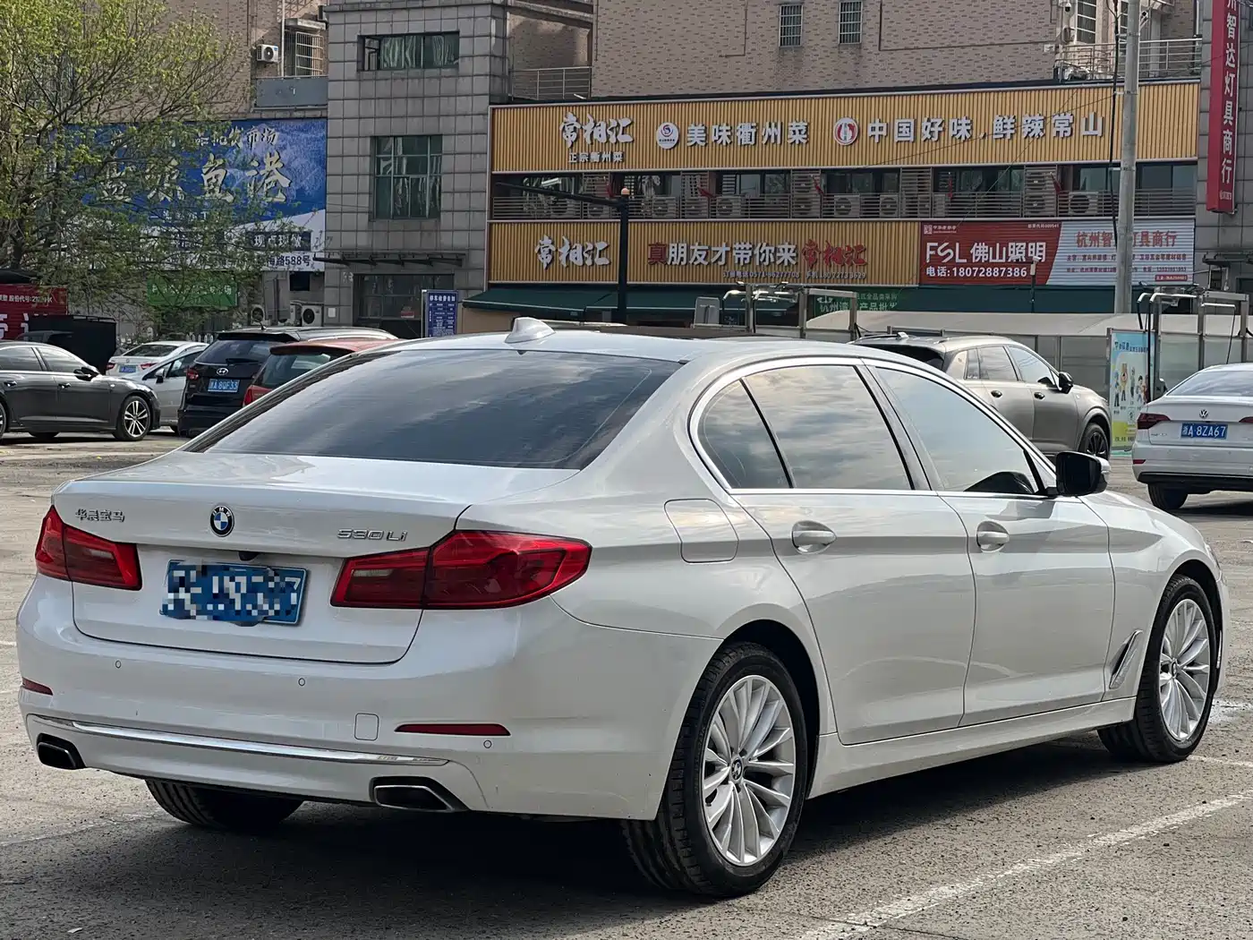 BMW 5 Series 2019 530Li Leading Luxury Package фото 5