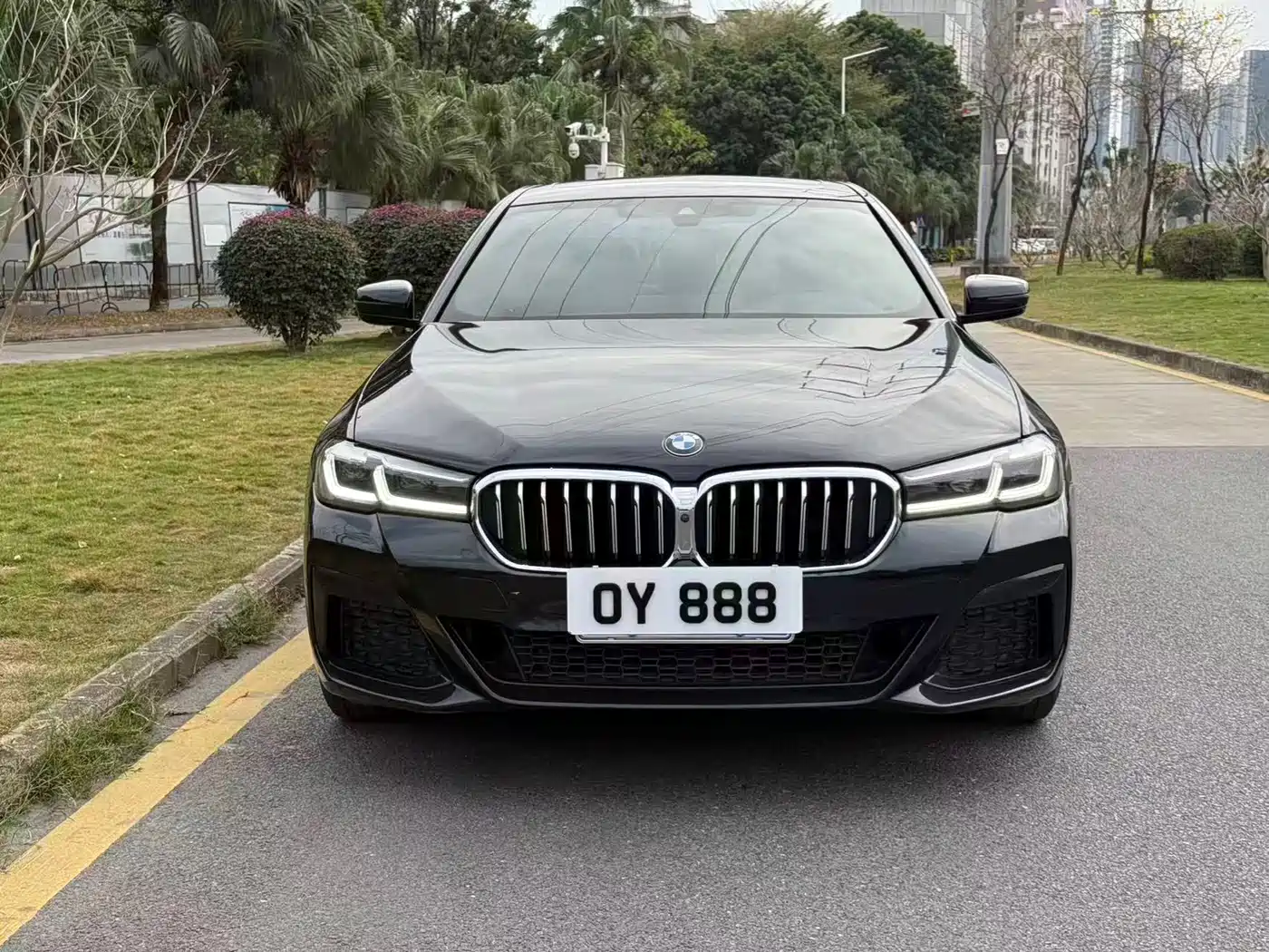 BMW 5 SERIES