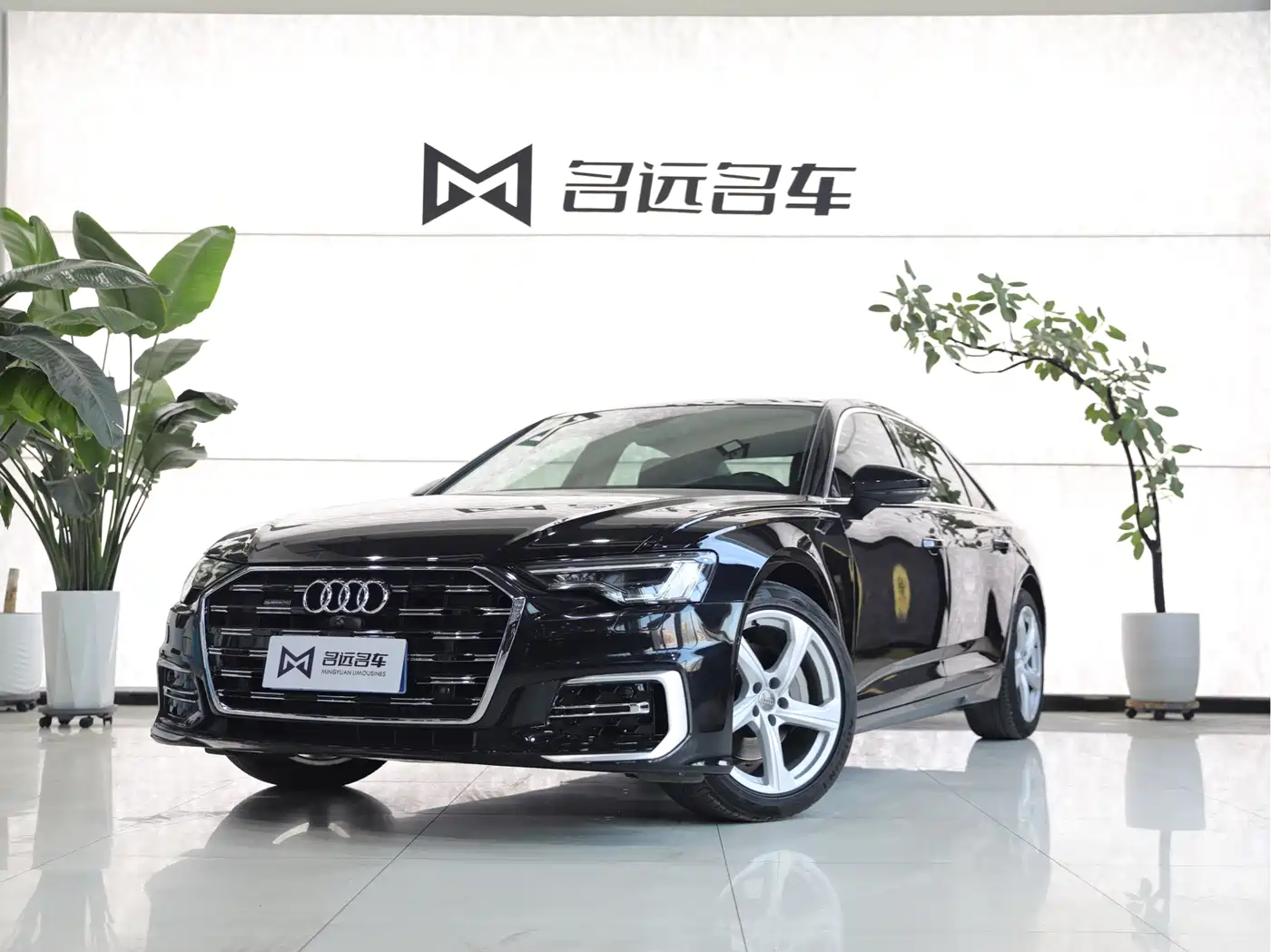 Audi A6L 2019 45 TFSI quattro Premium Elegance