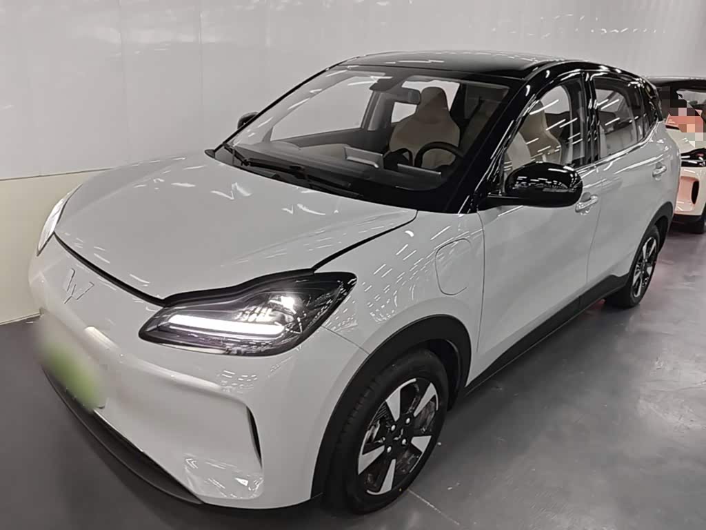 Wuling Motors Wuling Binguo PLUS