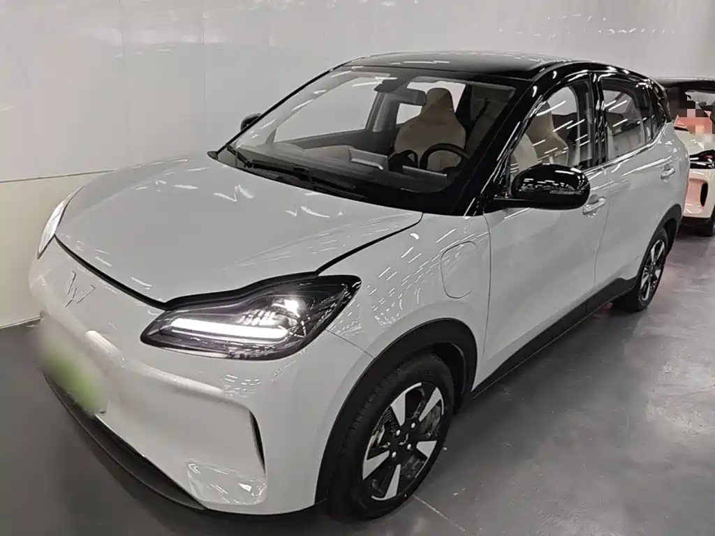 Wuling Motors Wuling Binguo PLUS 2026 2024 510km Range 5-seater