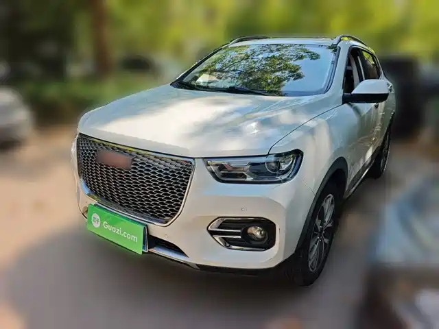  Haval Haval H2s 2018 Red Label 1.5T DCT Luxury Model