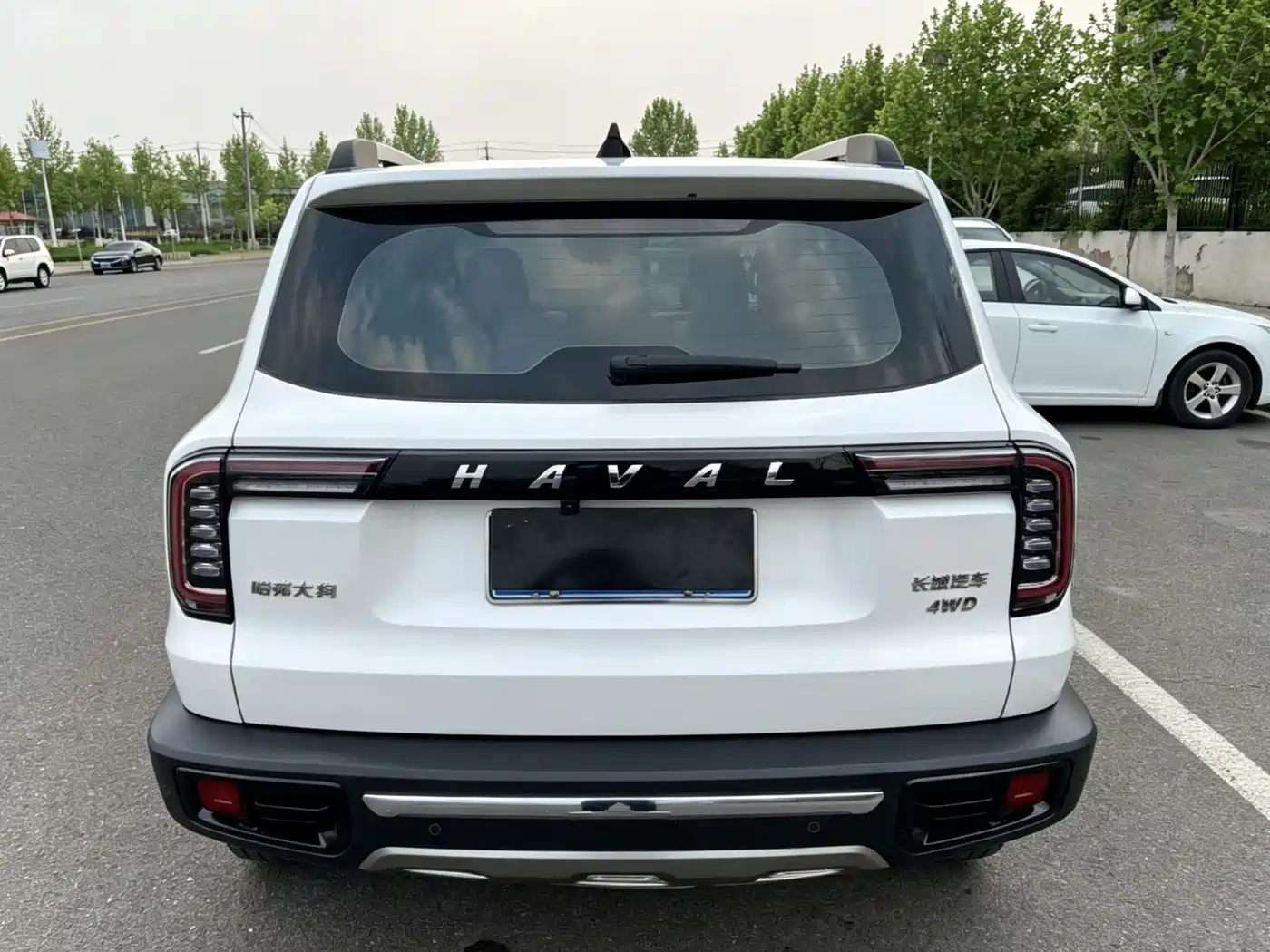Photo 5 - Haval Big Dog