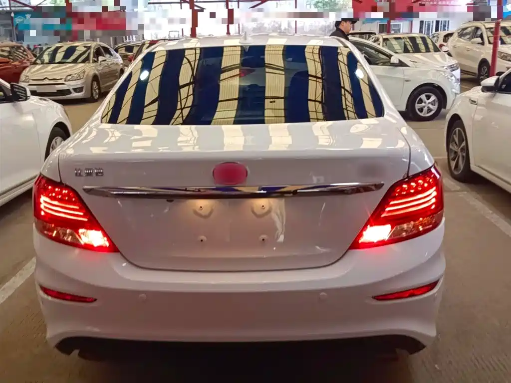 BYD Surui 2016 1.5L Manual Elite фото 6