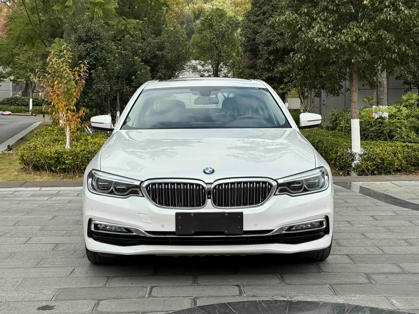 BMW 5 Series 2018 Facelift 530Li Exclusive Luxury Package фото 2