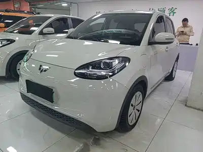 Wuling Bingo