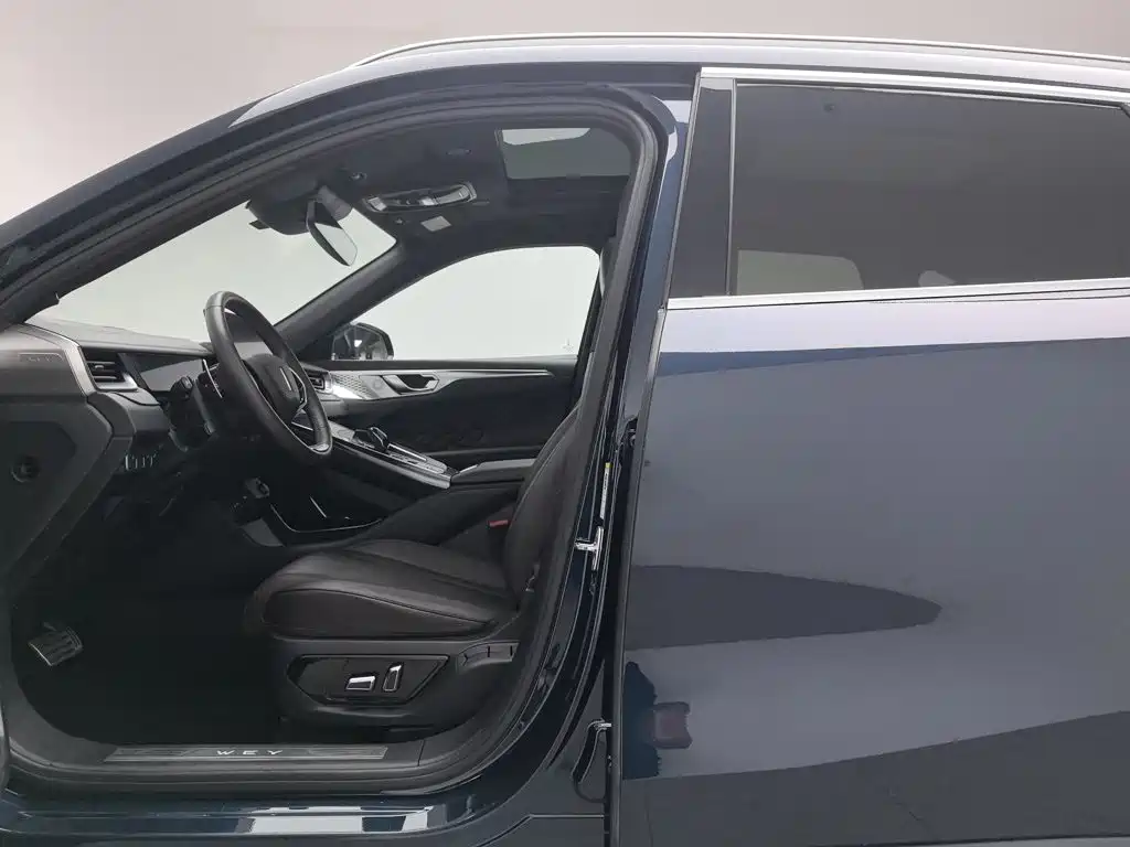 WEY Mocha 2021 2021 2.0T 2WD Extra Rich Edition