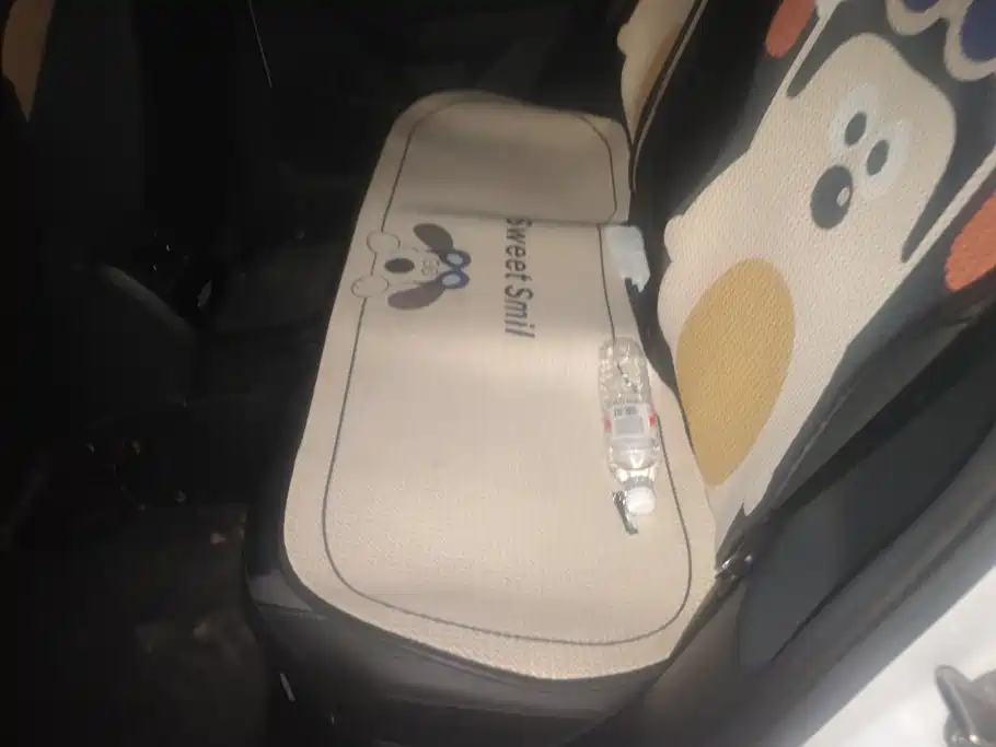 Volkswagen Sagitar, миниатюра 11