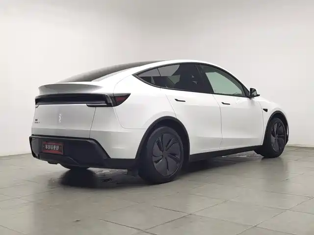 Tesla Model Y 2025 Rear-Wheel Drive — фото 2
