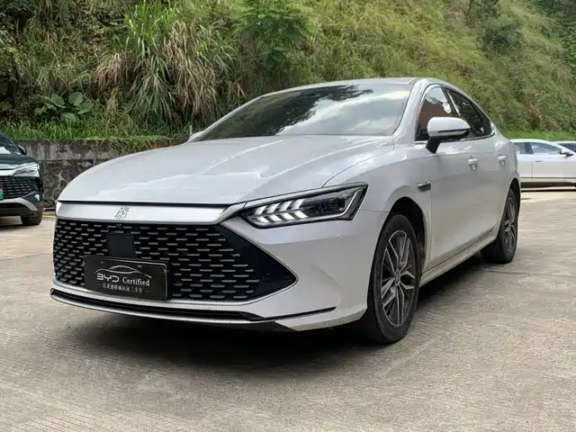 BYD Qin PLUS Слава, DM-i 120KM, Совершенство