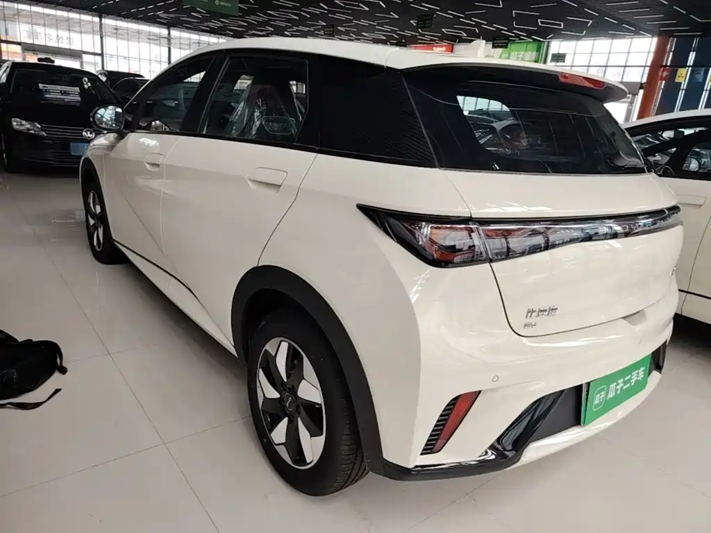BYD Dolphin 2026 2025 420km Freedom Edition